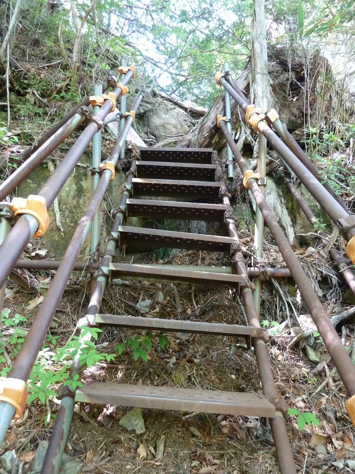 P1100935_mid.jpg