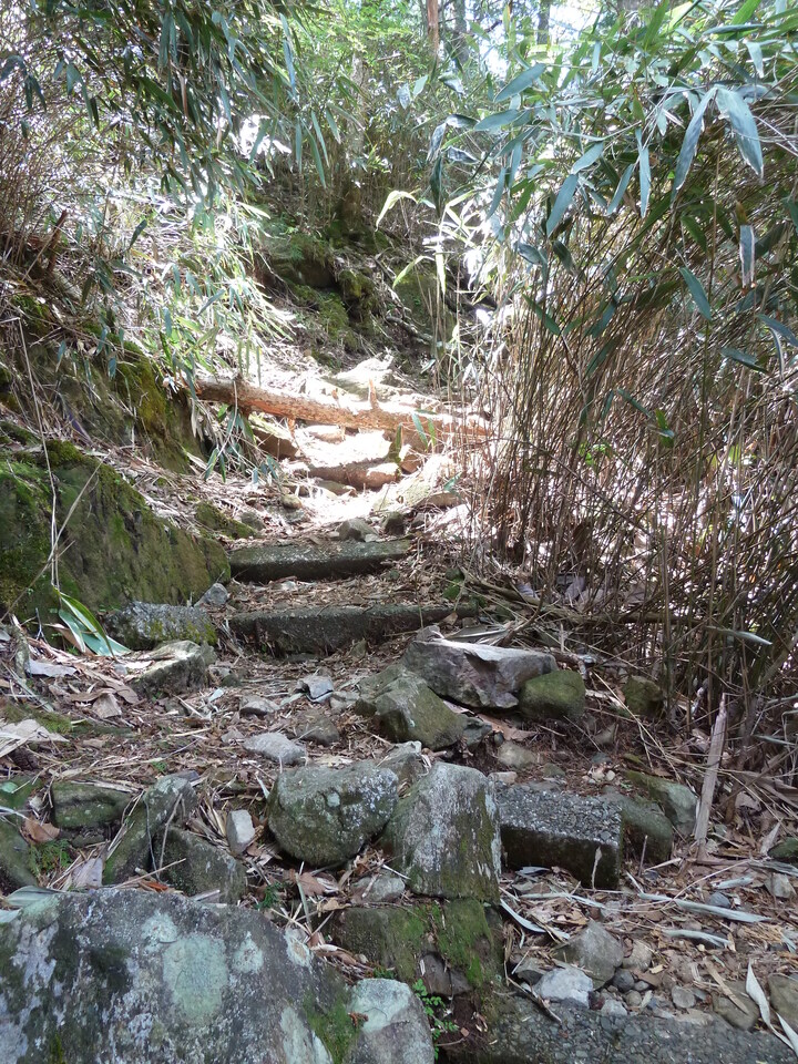 P1100937_mid.jpg