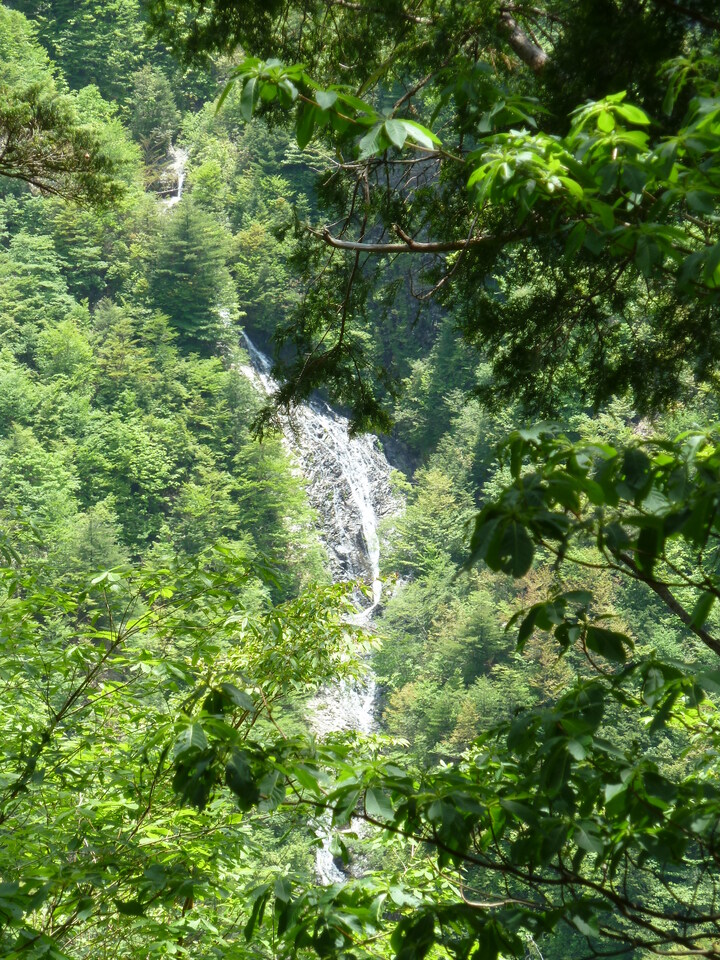 P1100940_mid.jpg