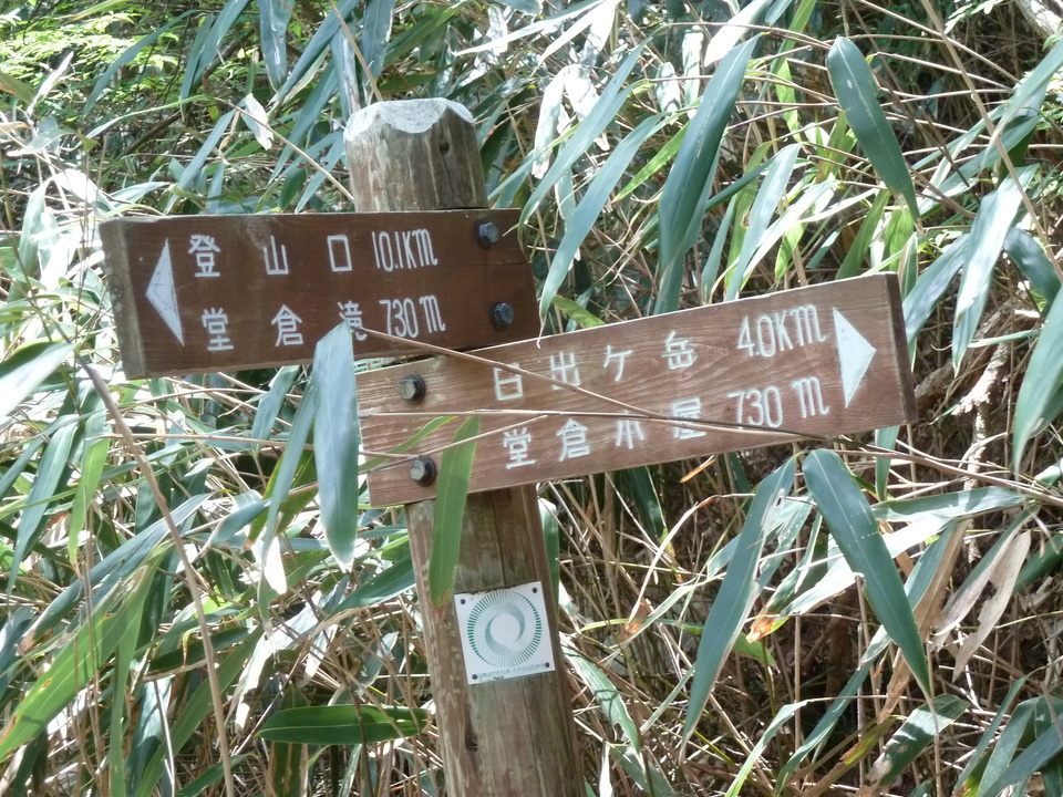 P1100941_mid.jpg