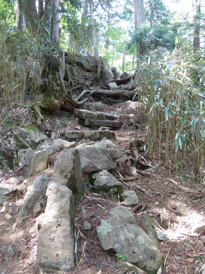 P1100943_mid.jpg
