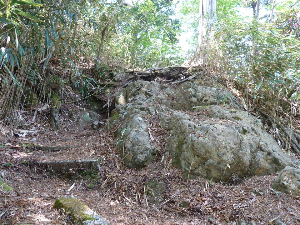 P1100950_mid.jpg