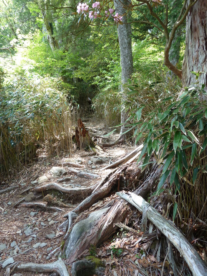 P1100952_mid.jpg