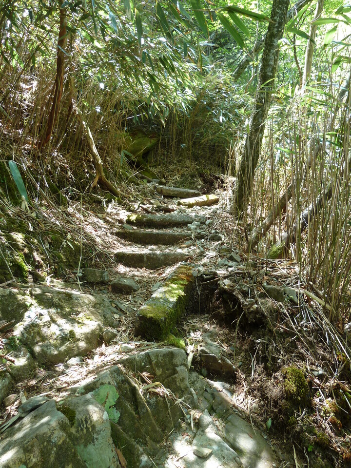 P1100953_mid.jpg
