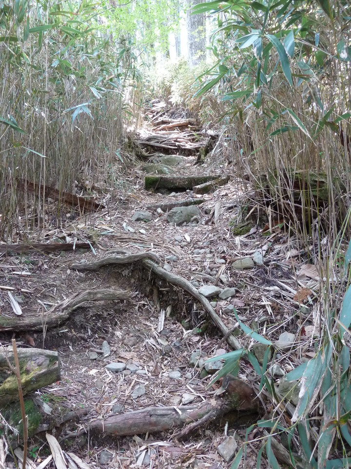 P1100960_mid.jpg