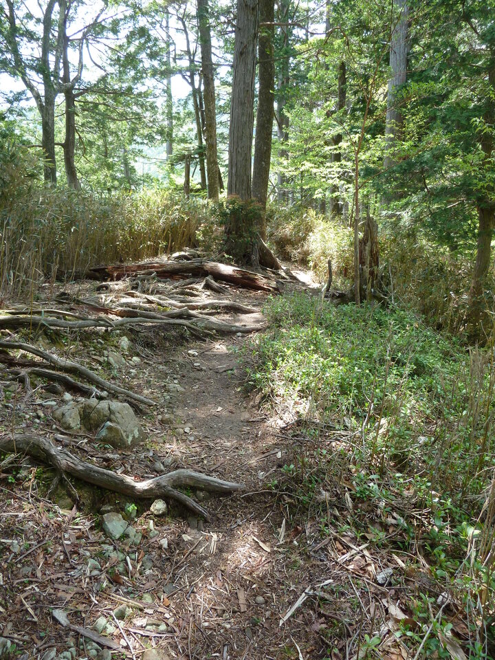 P1100963_mid.jpg