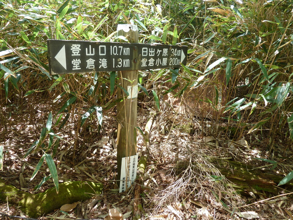 P1100965_mid.jpg