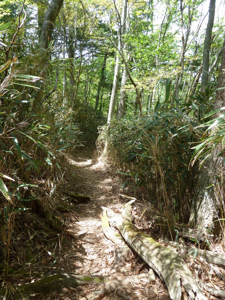 P1100966_mid.jpg