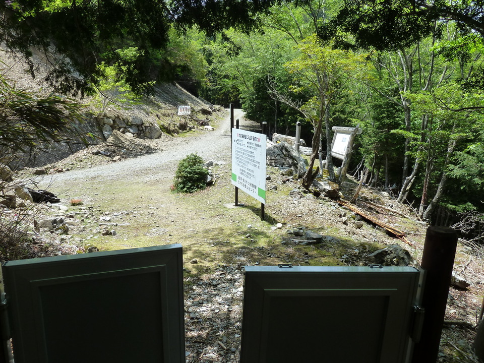 P1100968_mid.jpg