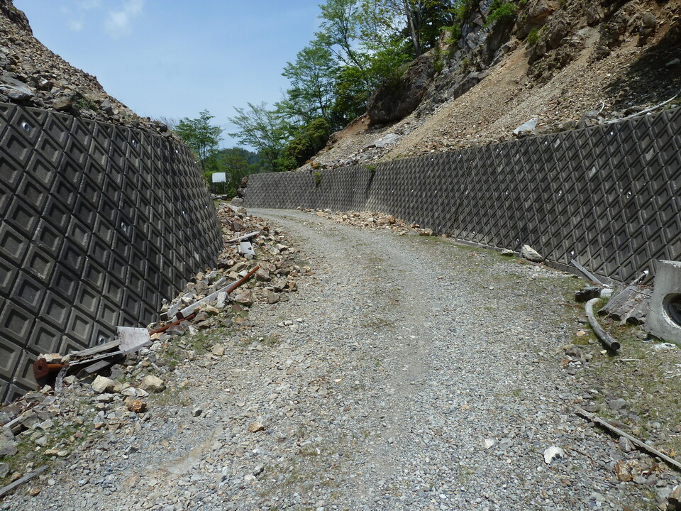 P1100972_mid.jpg