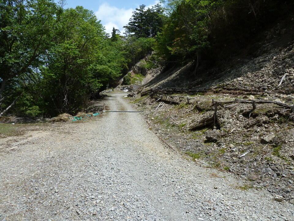P1100975_mid.jpg