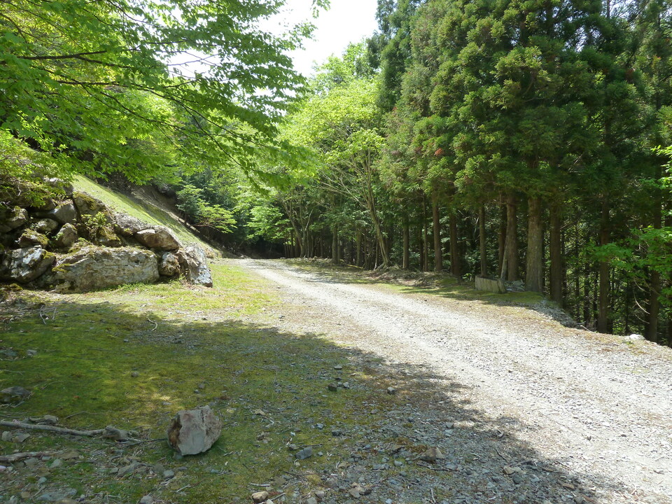 P1100977_mid.jpg