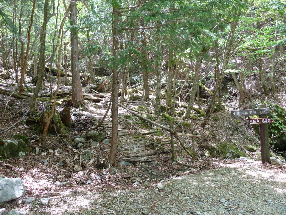 P1100978_mid.jpg