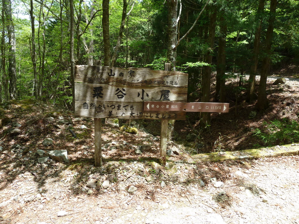 P1100980_mid.jpg
