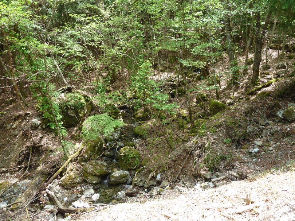 P1100987_mid.jpg