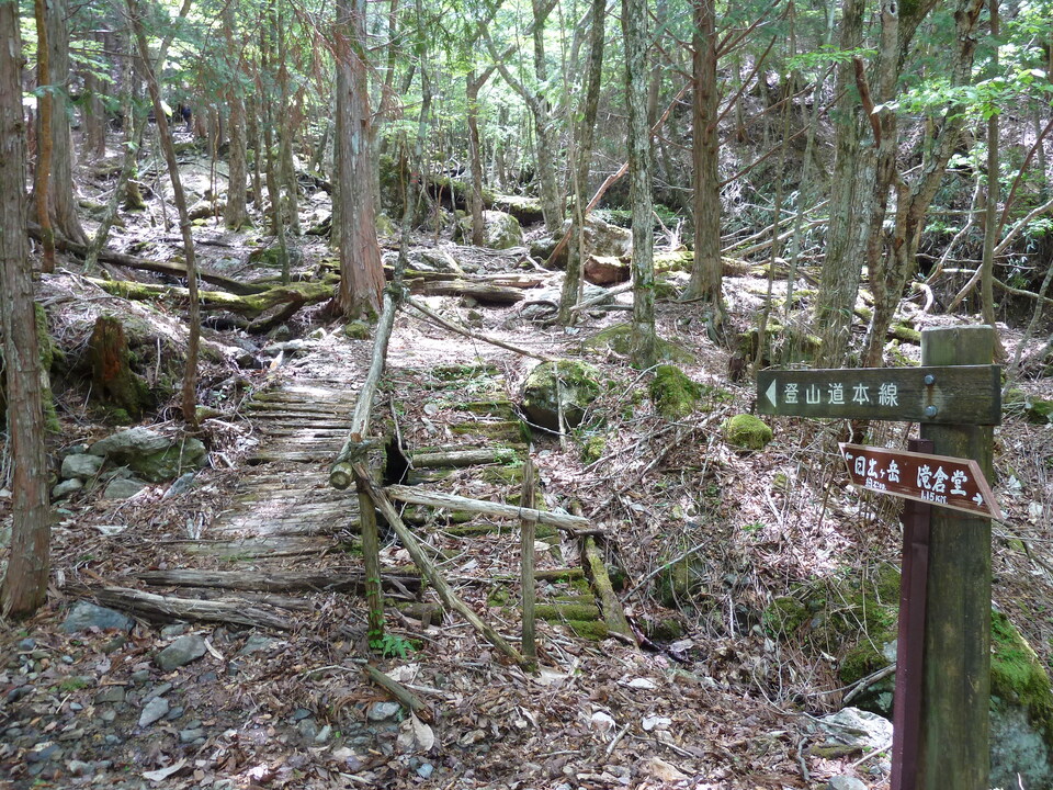 P1100988_mid.jpg