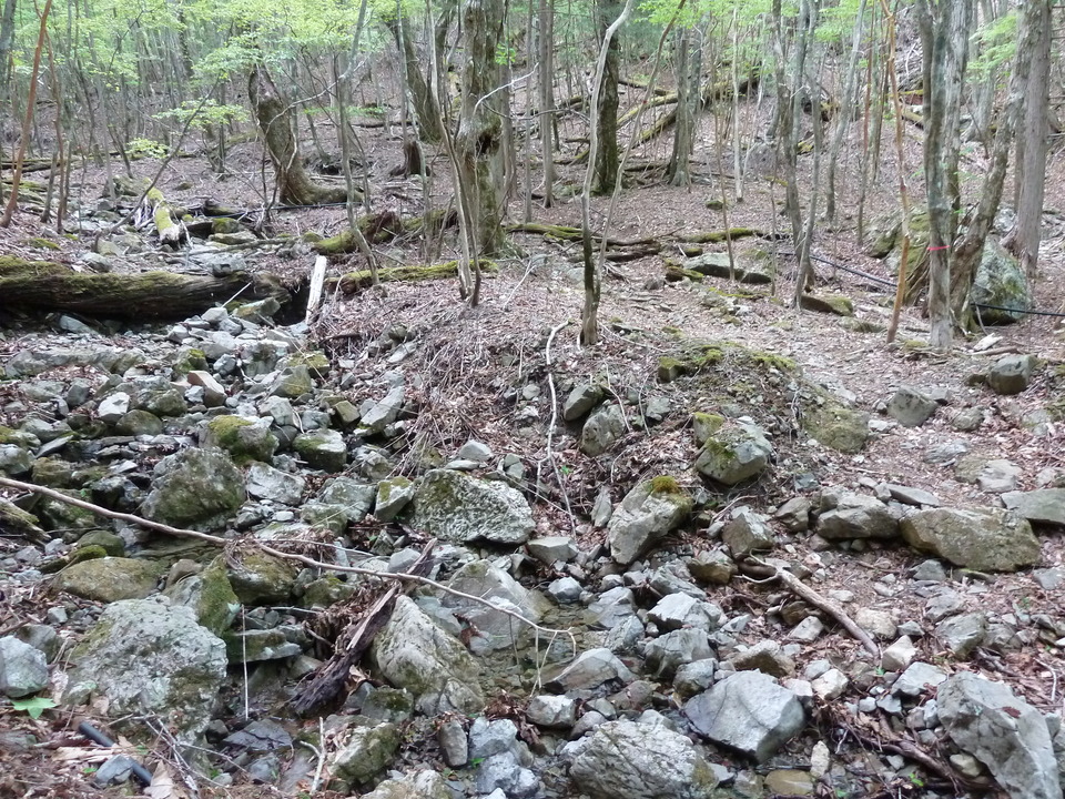 P1100993_mid.jpg