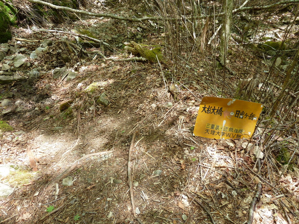 P1100996_mid.jpg