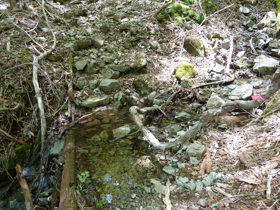 P1100998_mid.jpg