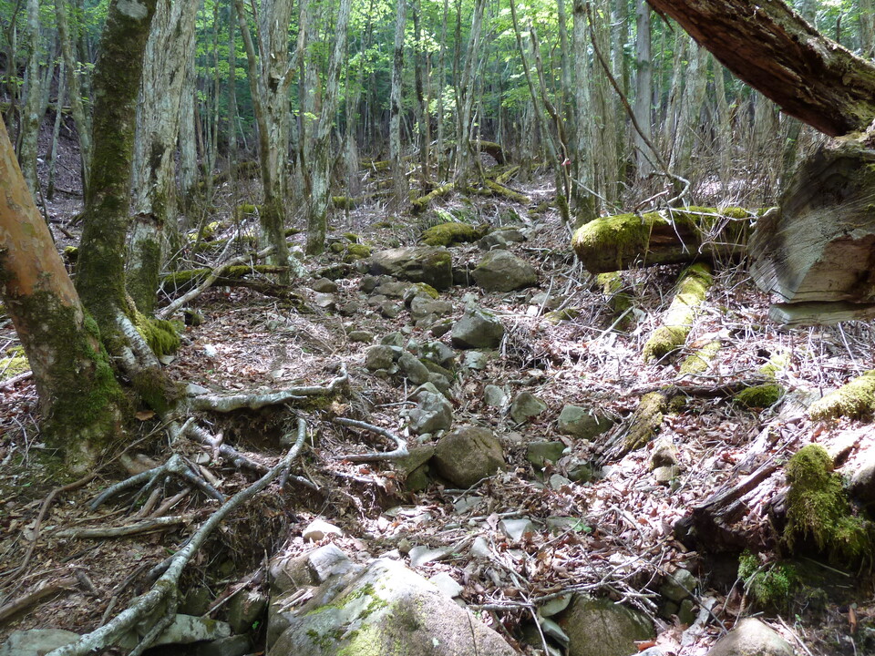 P1100999_mid.jpg