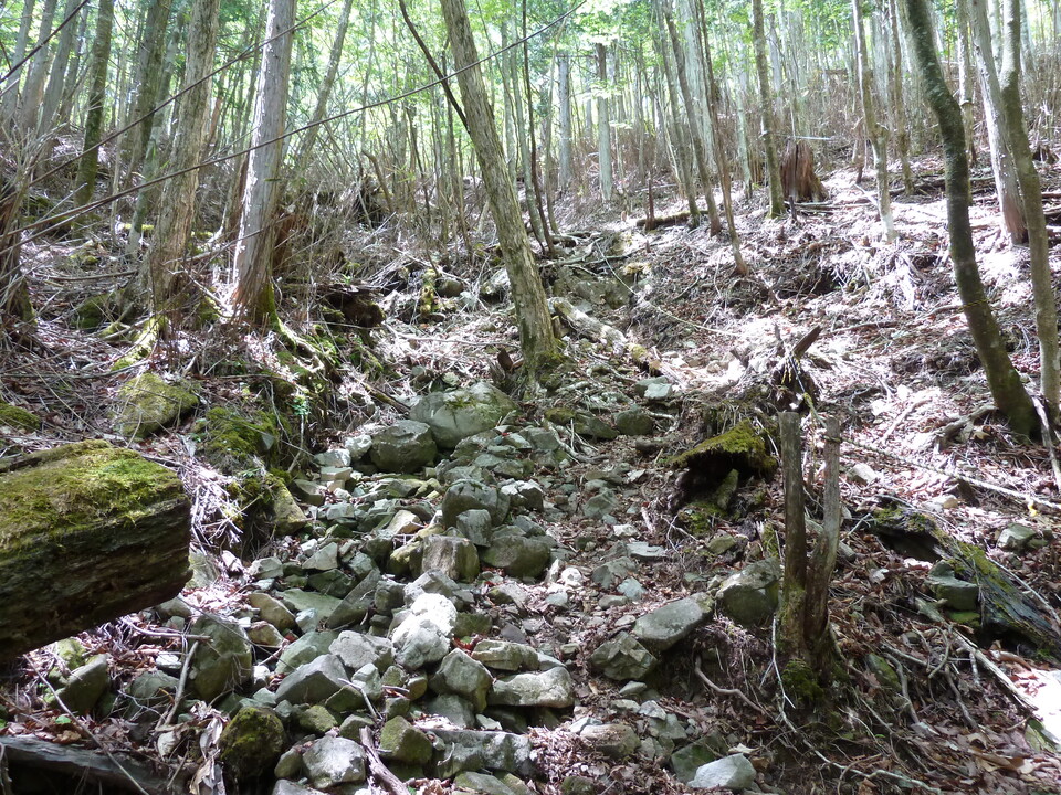 P1110002_mid.jpg
