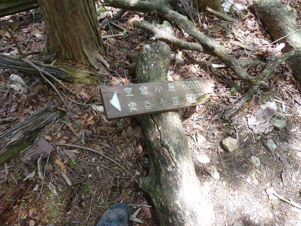 P1110004_mid.jpg