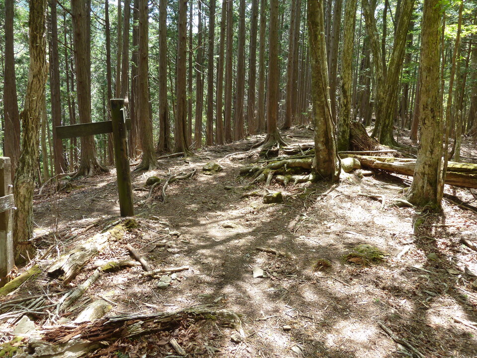 P1110005_mid.jpg