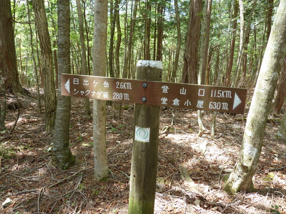 P1110008_mid.jpg