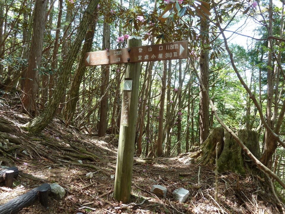 P1110013_mid.jpg
