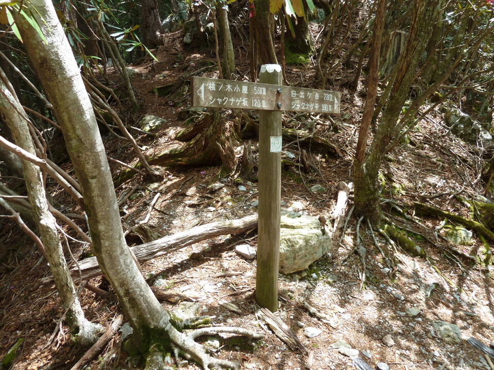 P1110020_mid.jpg