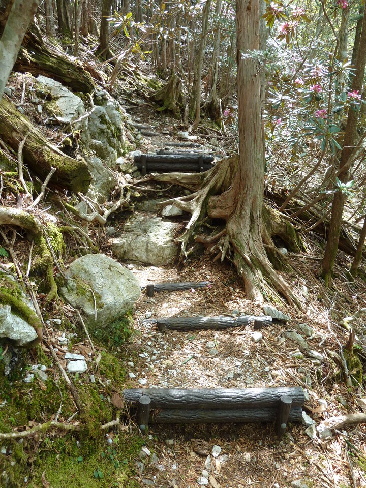 P1110022_mid.jpg
