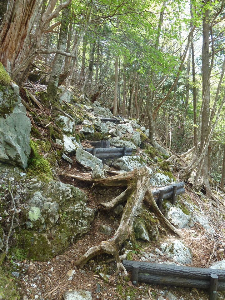 P1110026_mid.jpg