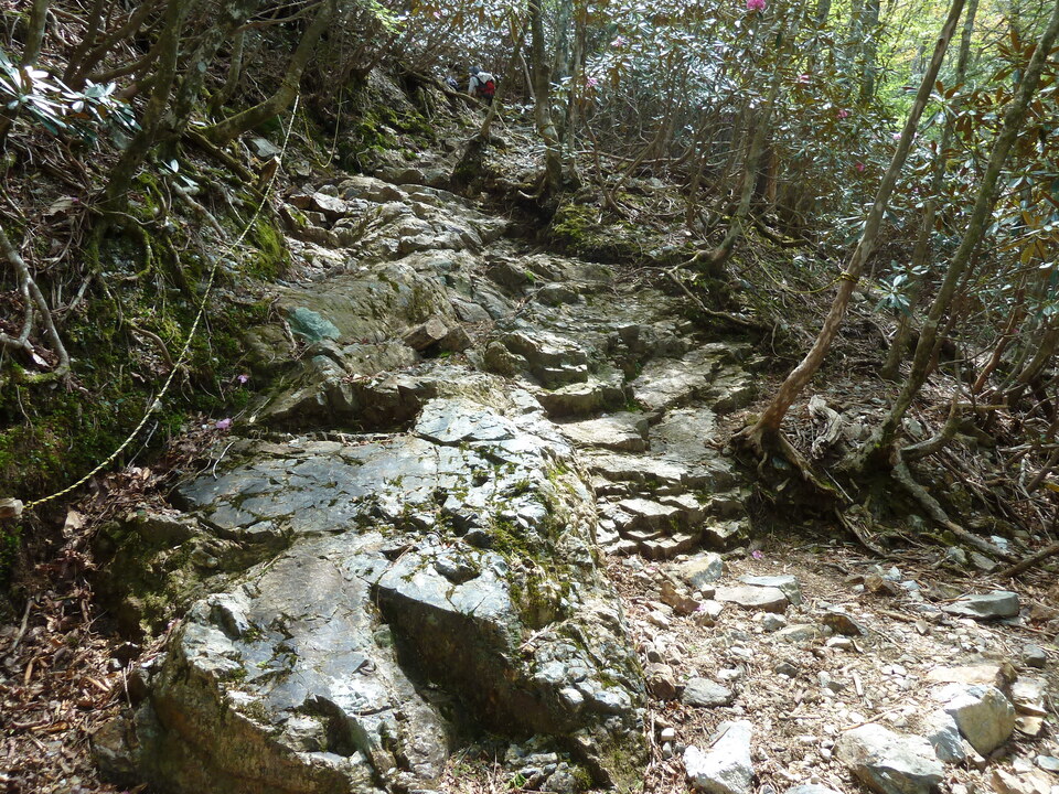 P1110028_mid.jpg