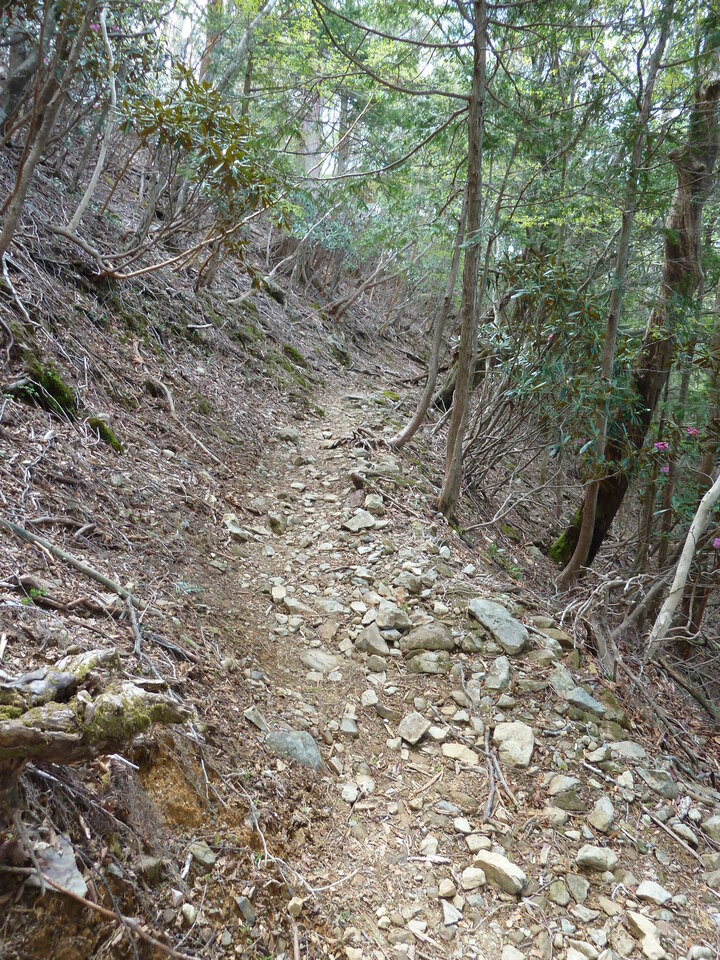 P1110033_mid.jpg