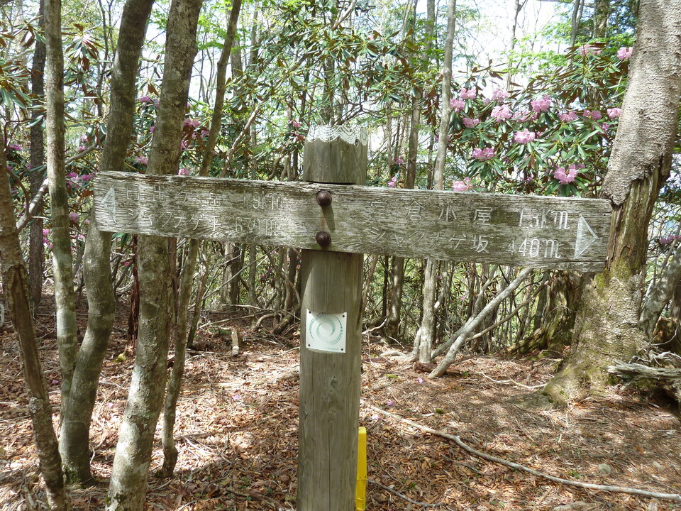 P1110037_mid.jpg