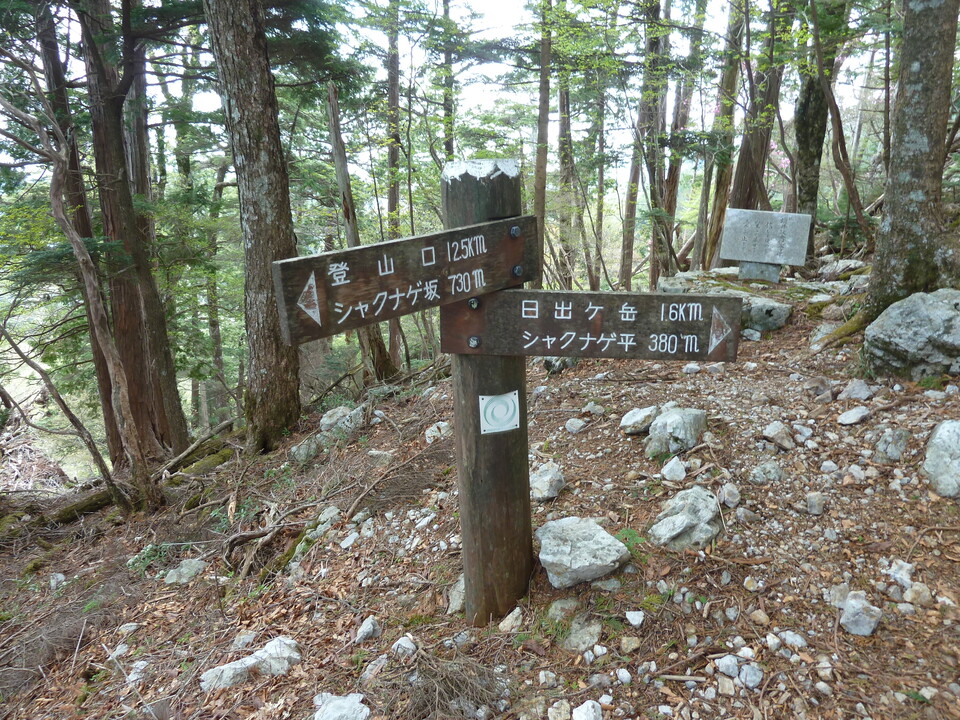 P1110045_mid.jpg