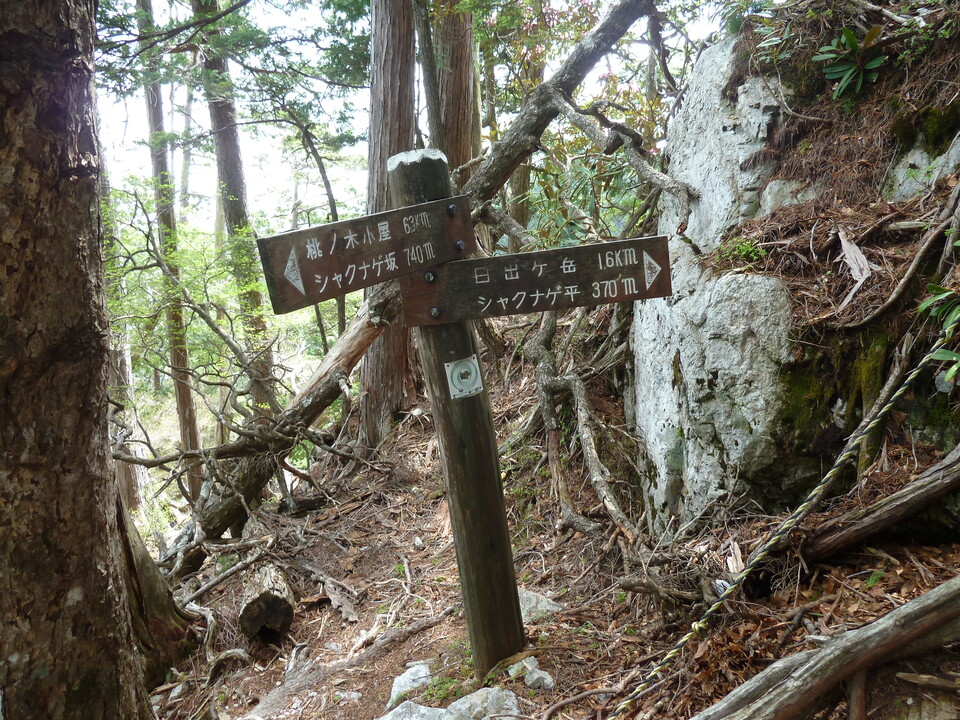 P1110047_mid.jpg
