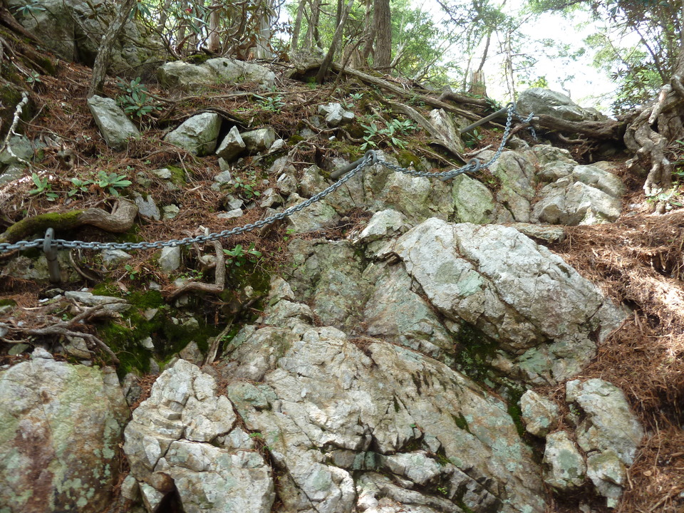 P1110048_mid.jpg