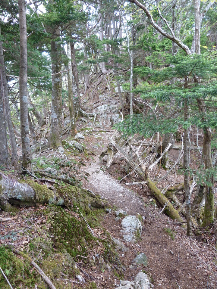 P1110054_mid.jpg