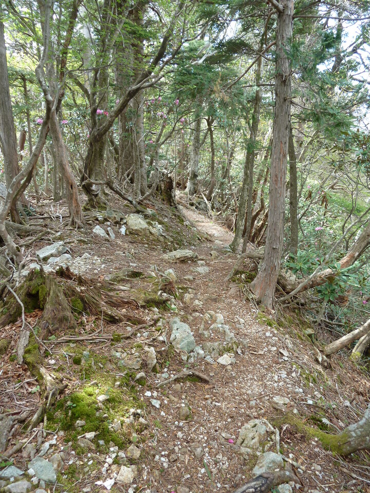 P1110060_mid.jpg