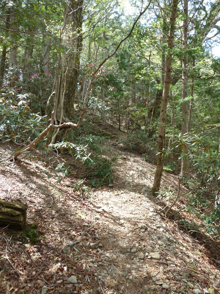 P1110064_mid.jpg