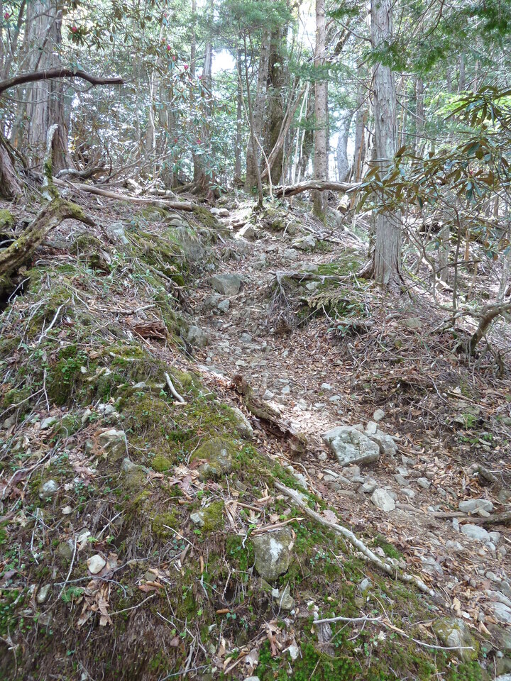 P1110065_mid.jpg