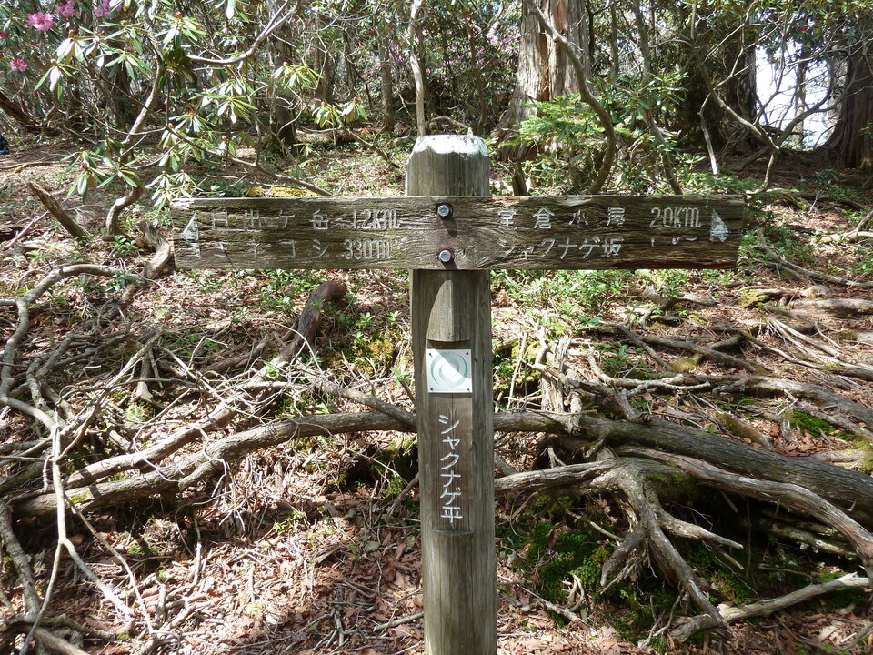 P1110068_mid.jpg