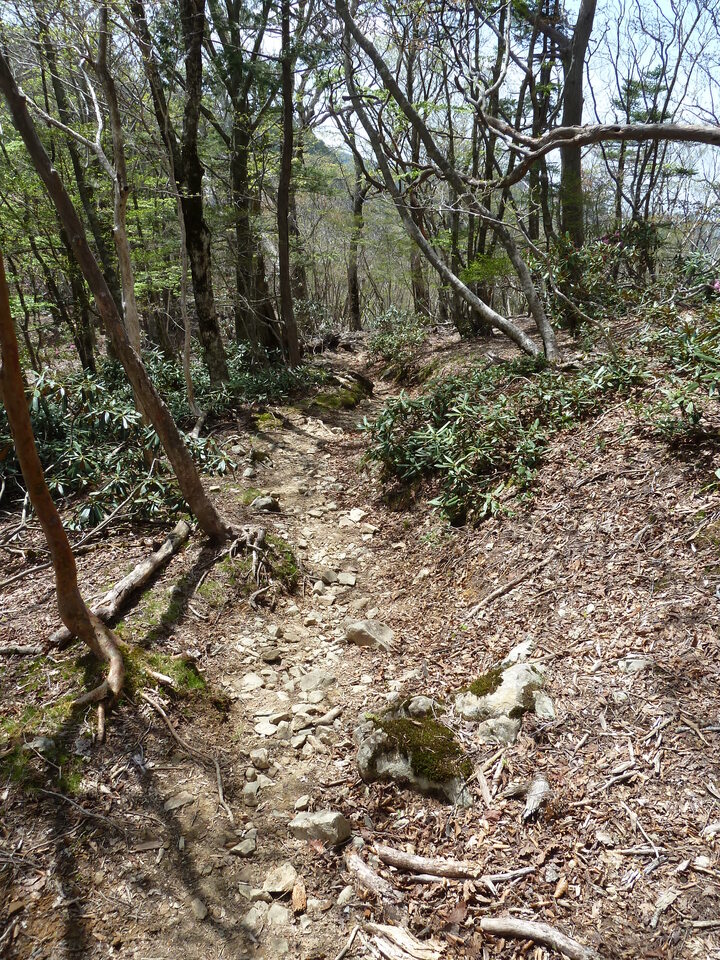 P1110071_mid.jpg