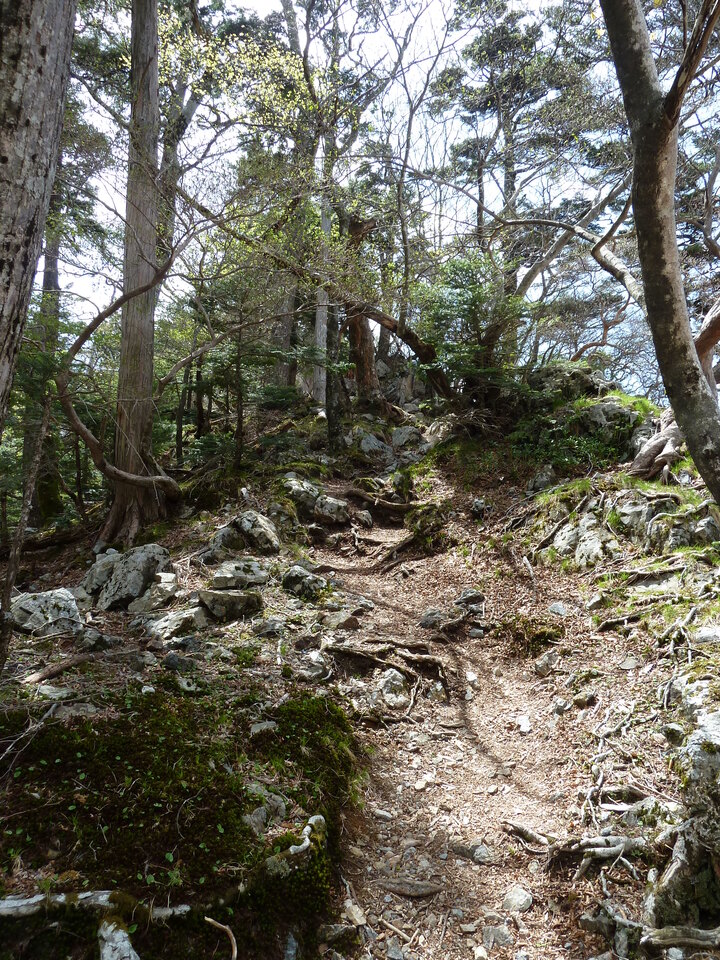 P1110073_mid.jpg