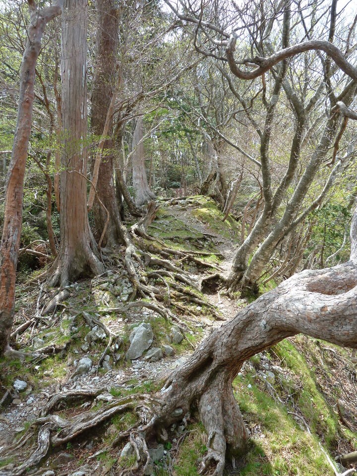 P1110074_mid.jpg