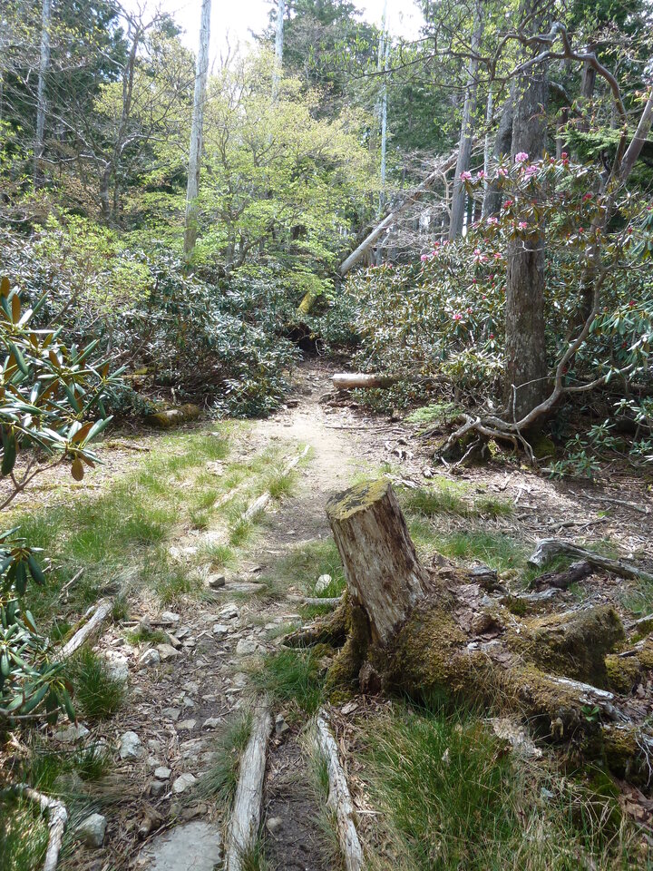 P1110091_mid.jpg