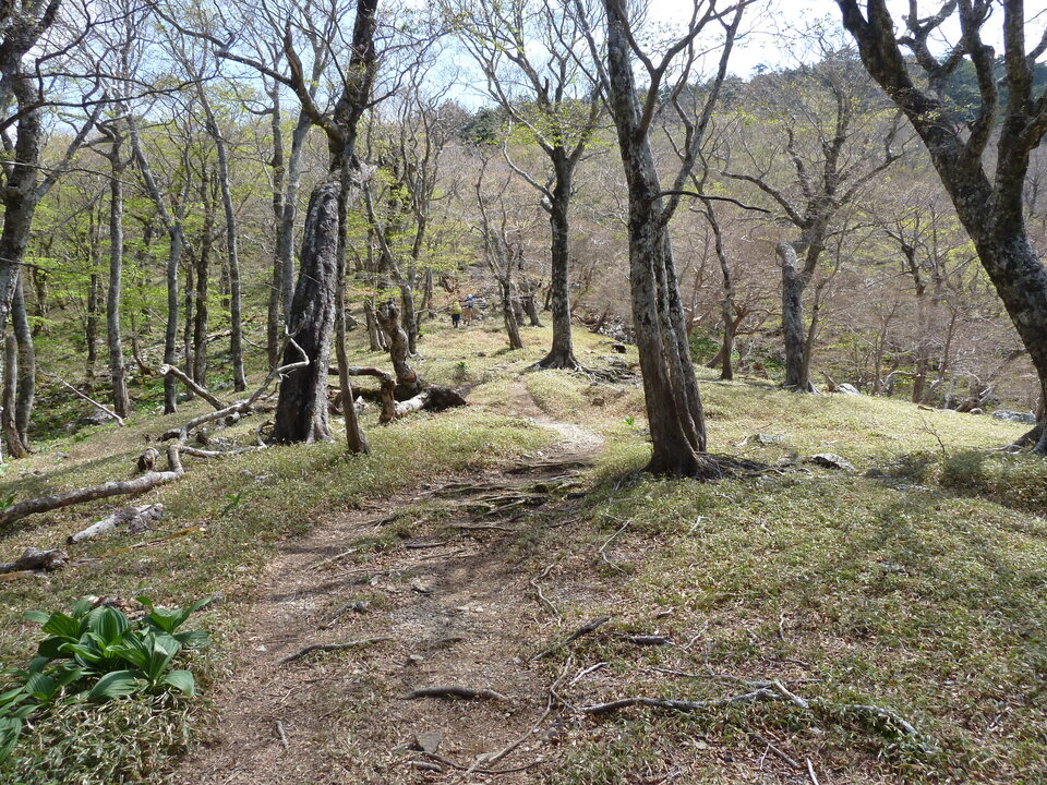P1110096_mid.jpg