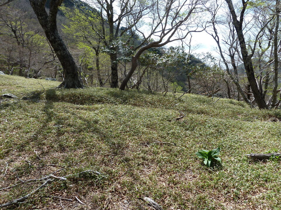 P1110100_mid.jpg