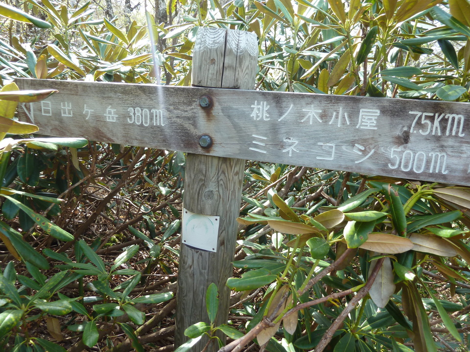 P1110105_mid.jpg